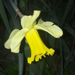 Meet your Posher, Deelee